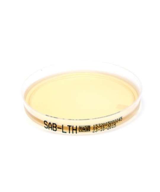 Piastra Pronta Petri da 90 mm SAB-LTH