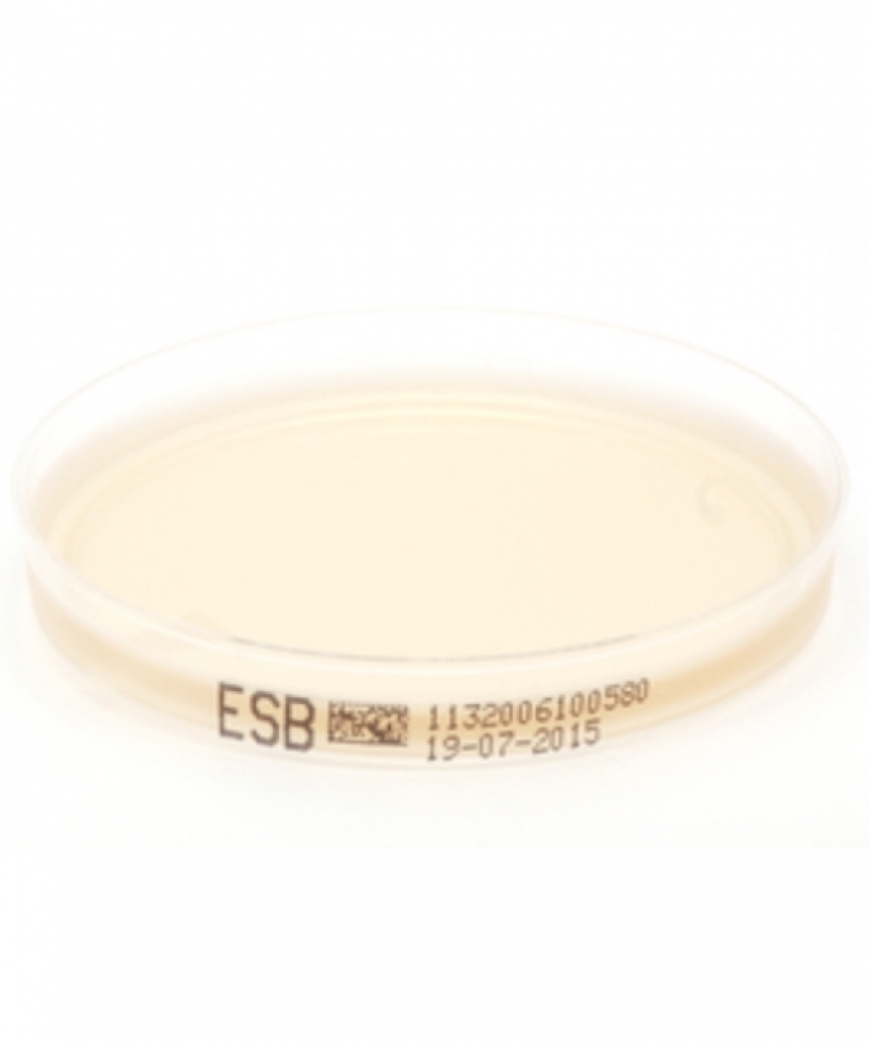 Piastra Pronta Petri da 70 mm Enterococci Selective Agar acc.to Slanetz & Bartley acc.to ISO 7899