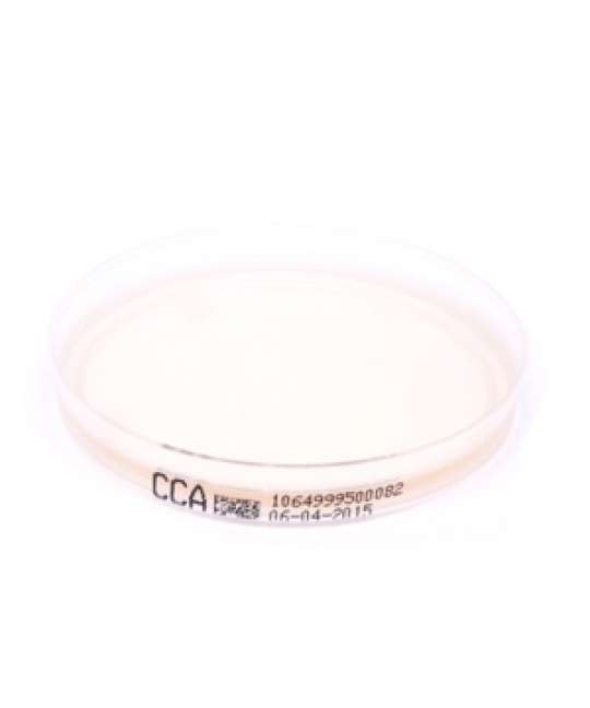 Piastra Pronta Petri da 90 mm Chromogenic Coliform Agar (CCA)