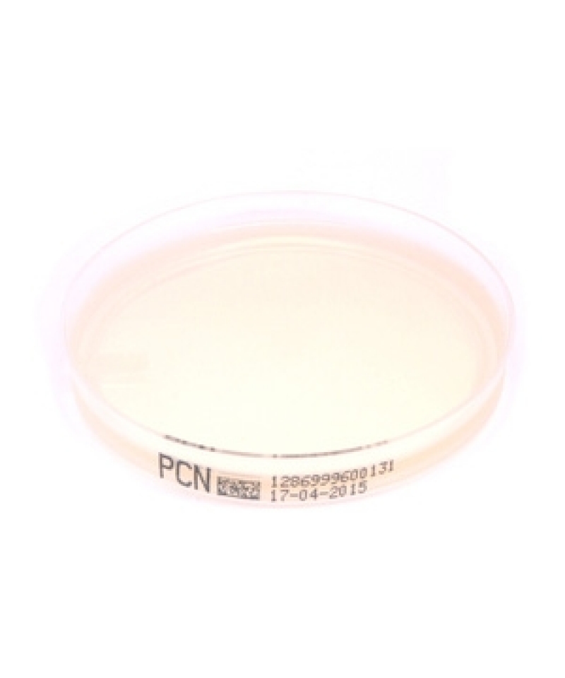 Piastra Pronta Petri da 70 mm Pseudomonas CN Agar (PCN)