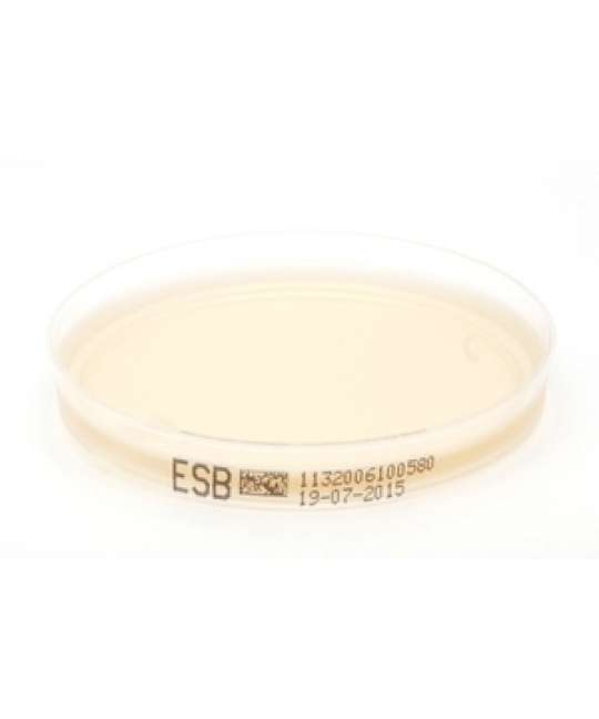 Piastra Pronta Petri da 90 mm Enterococci Selective Agar acc.to Slanetz & Bartley acc.to ISO 7899