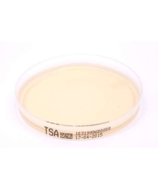 Piastra Pronta Petri da 90 mm Tryptic Soy Agar 