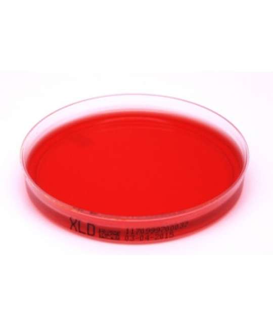 Piastra Pronta Petri da 90 mm - Xylose-Lysine-Desoxycholate Agar (XLD)